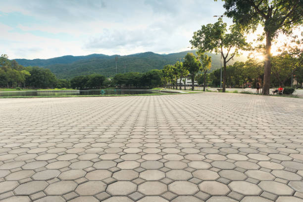 Best Permeable Paver Driveway  in Tool, TX